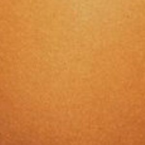 Meet your Posher, Genesis